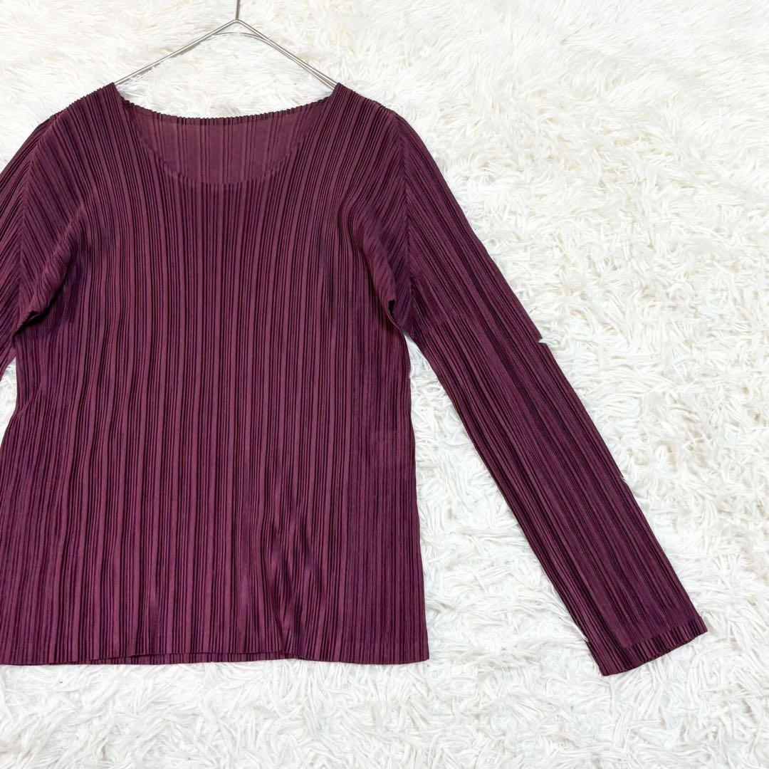 ISSEY MIYAKE PLEATS PLEASE トップス　長袖　プリーツ