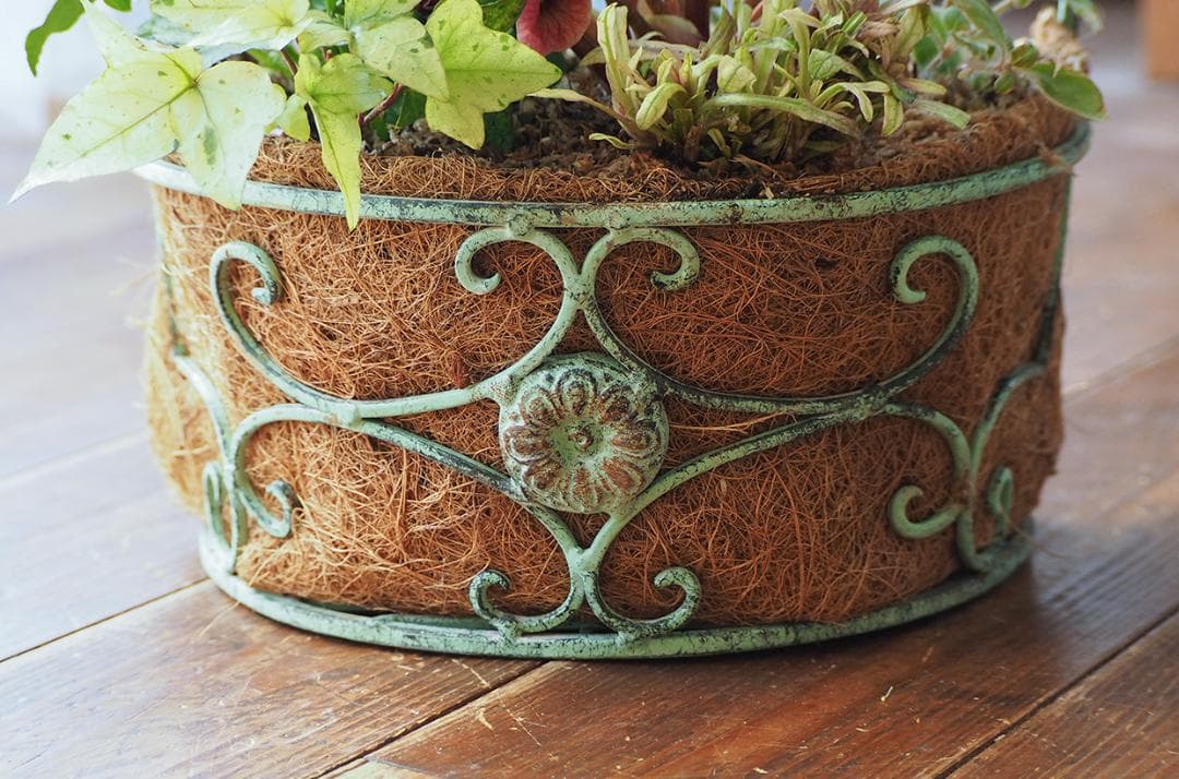 シャビーナチュラルなクリスマスローズ寄せ植え