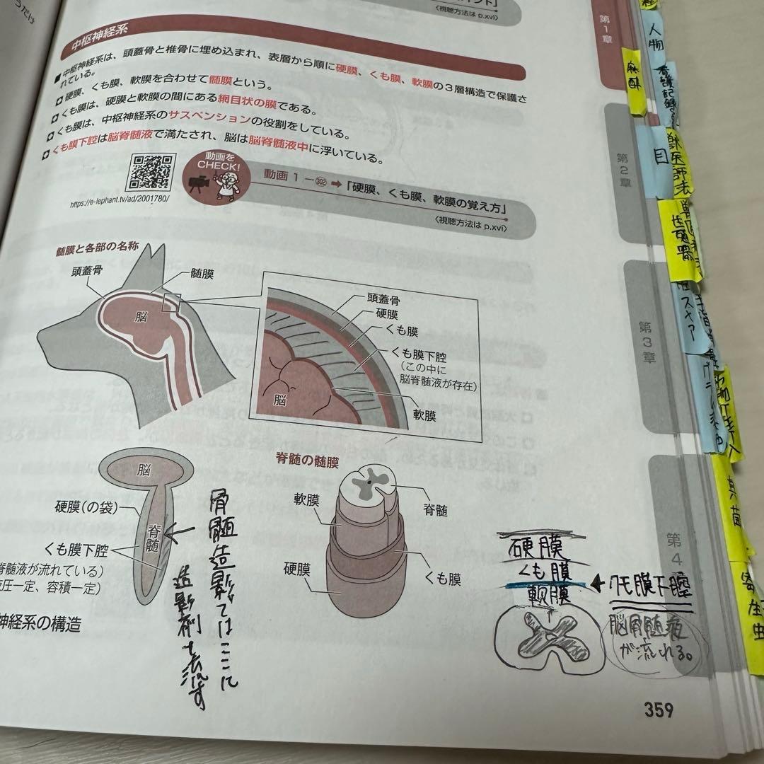 愛玩動物看護師カリキュラム全10冊セット+参考書