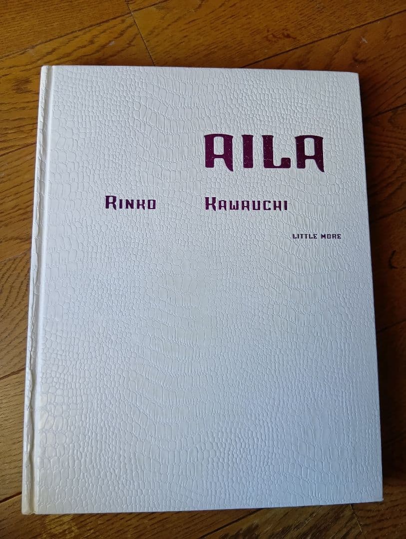 川内倫子　新品同様　AILA その他 セット売り　写真集