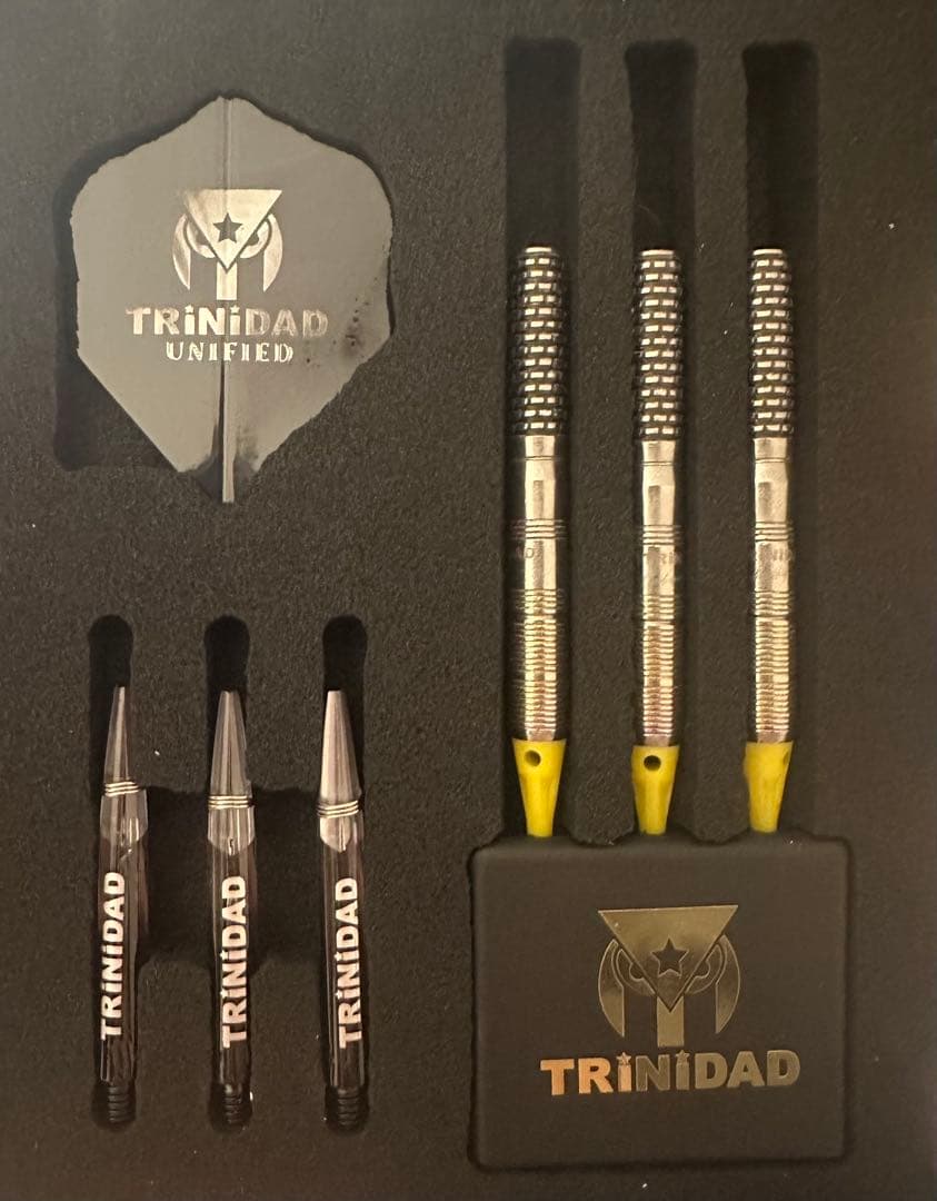 ヒューゴリョン選手モデル ダーツ バレル