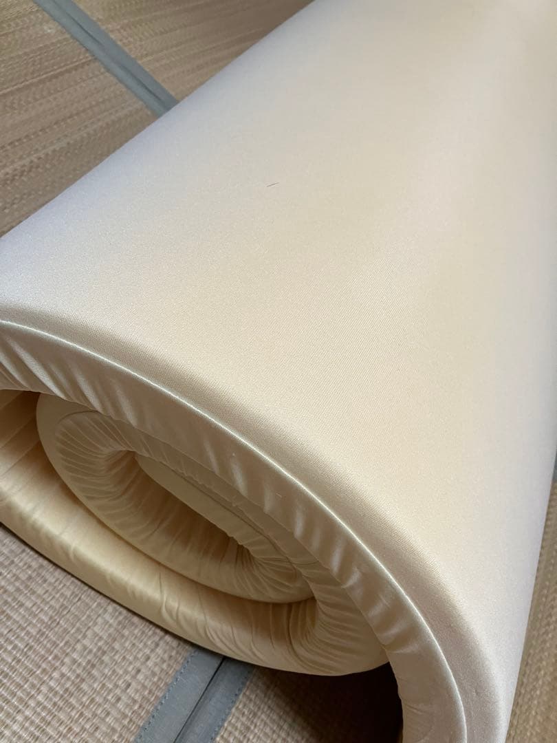 トゥルースリーパー　プレミアム　低反発万能まくら付　圧縮発送