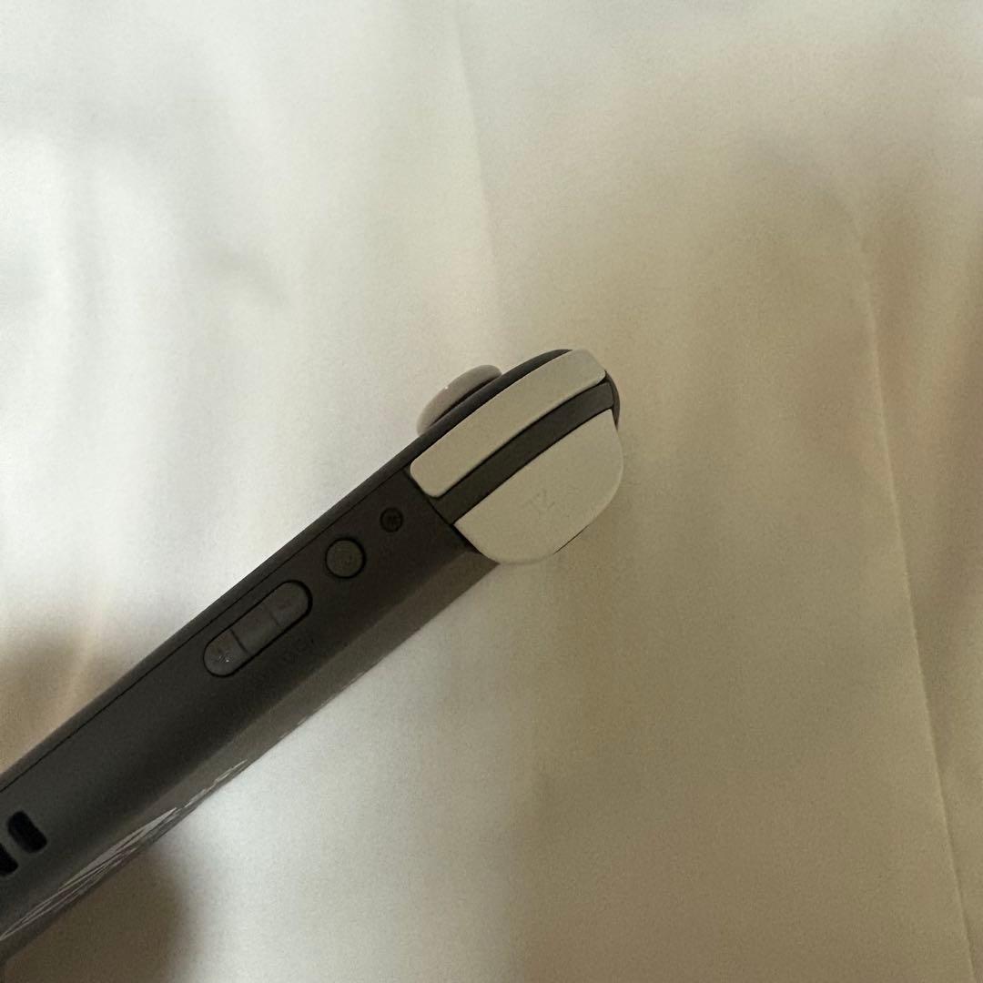 【先月購入】焼肉さま専用Nintendo Switch Lite グレー 本体