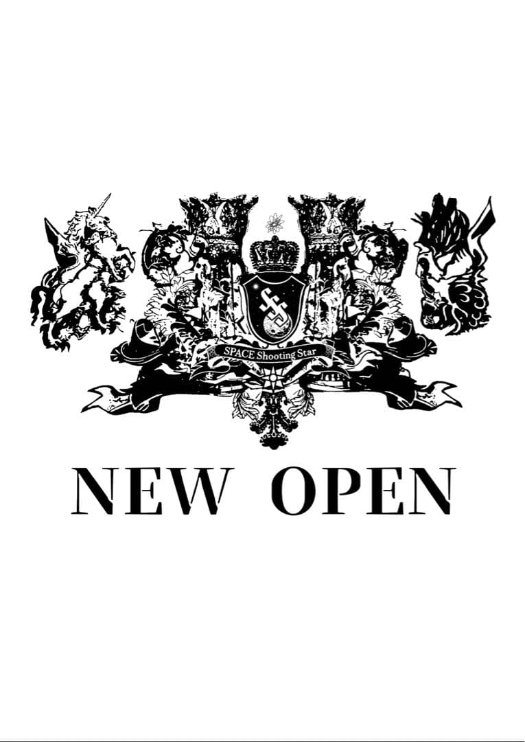 最高級な宇宙の隕石の粉ケース付き ⚜️✨　宇宙の流れ星の粉 ✨✨✨