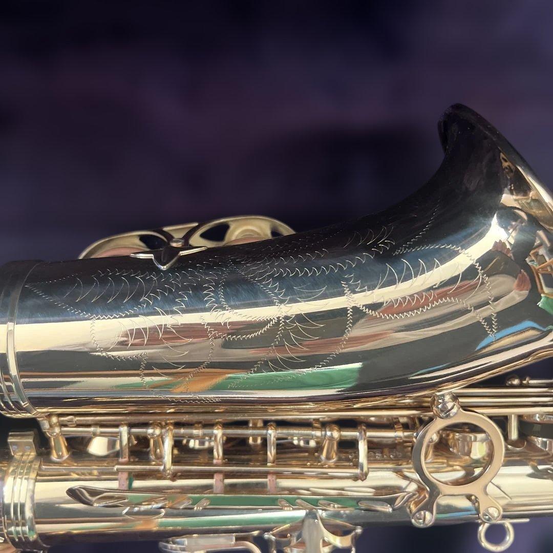 【初心者セット】SAVALEY アルトサックス ケース付き 付属品多数