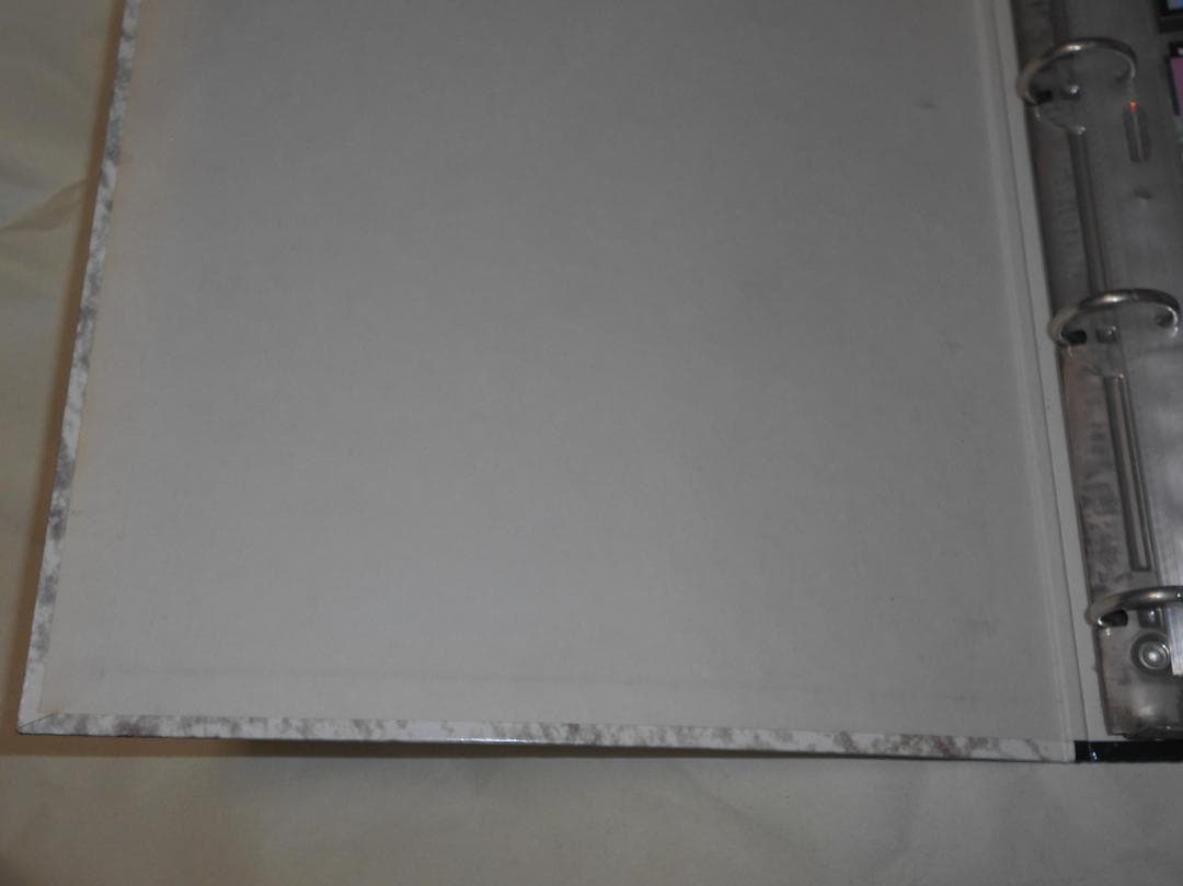 d*9様 エヴァ　トレカ　カード　まとめ　バインダー入り　ノーマルのみ　1集　版