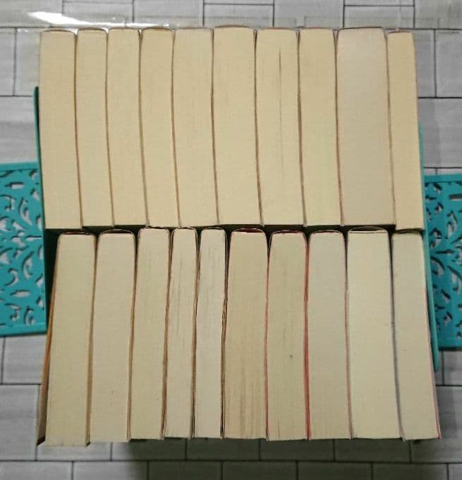 富樫倫太郎「SRO」「０係」「SM班」「スカーフェイス」警察小説 ２０冊セット