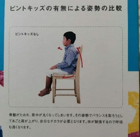 SOU•SOU × p!nto kids ピントキッズ　座椅子　クッション　姿勢