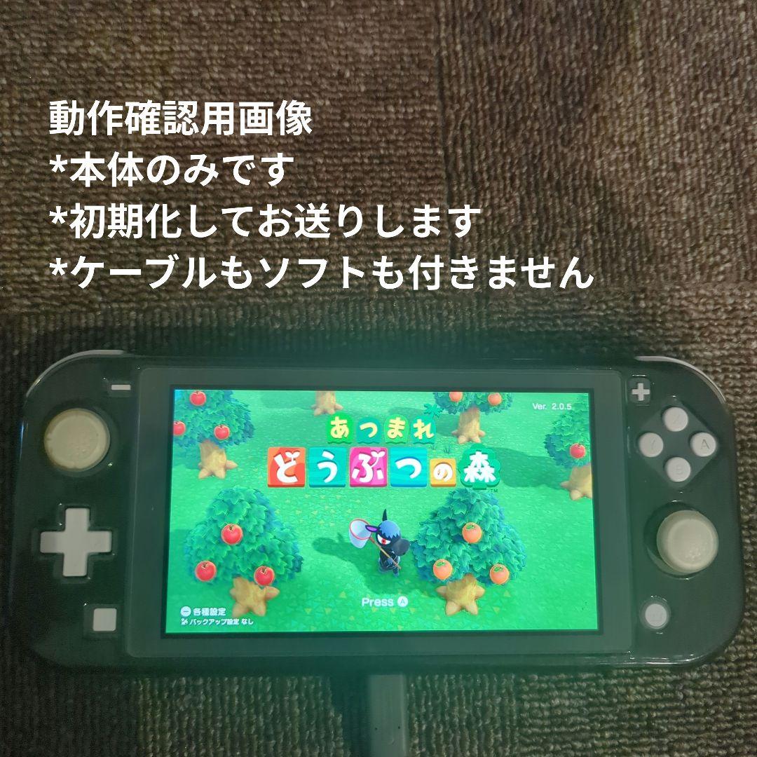 Nintendo Switch Lite グレー 本体 カバー付