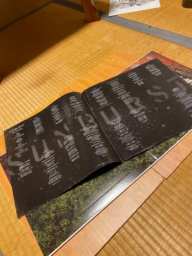 SUNBURST The Birthday レコード