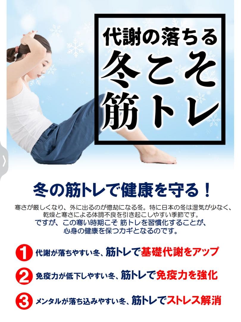 パルストレーナー【美品】 3DEMS