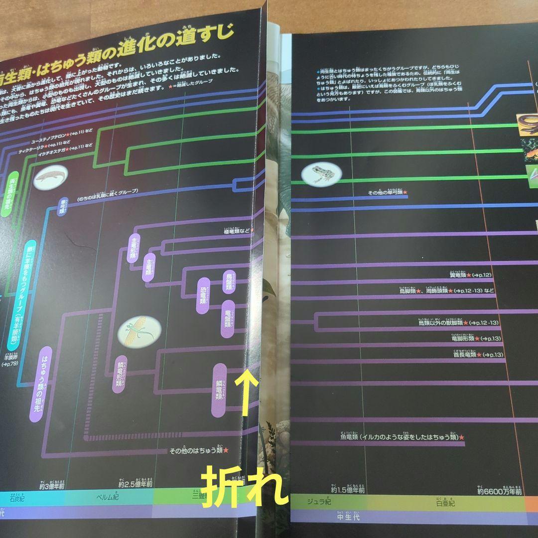 子供　図鑑NEO　図鑑MOVE　図鑑LIVE 16冊　DVD付き まとめ売り