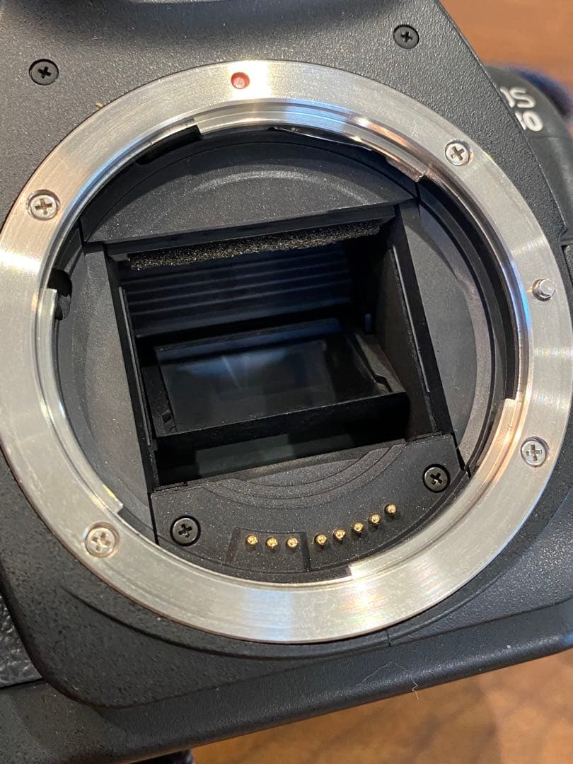 Canon EOS 30D デジタル一眼　シグマ　50ミリ　1:2.8 マクロ