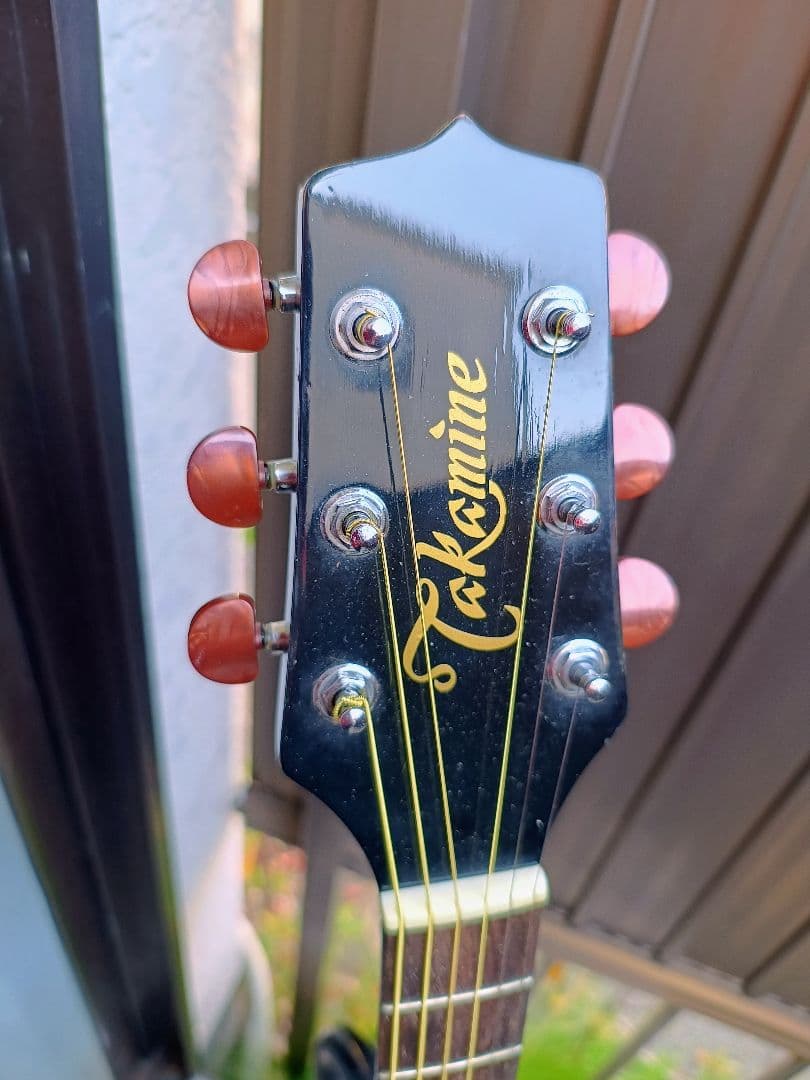 D*n様 超美品 Takamine 100シリーズ(？)BK 型番不明 PU付き