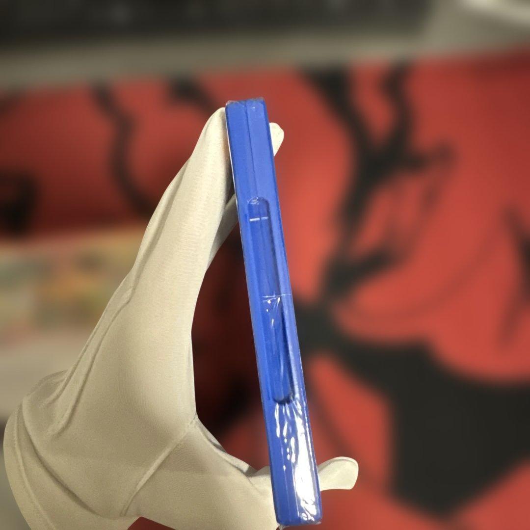 【新品未開封】2本セット ポケットモンスター オメガルビー アルファサファイア