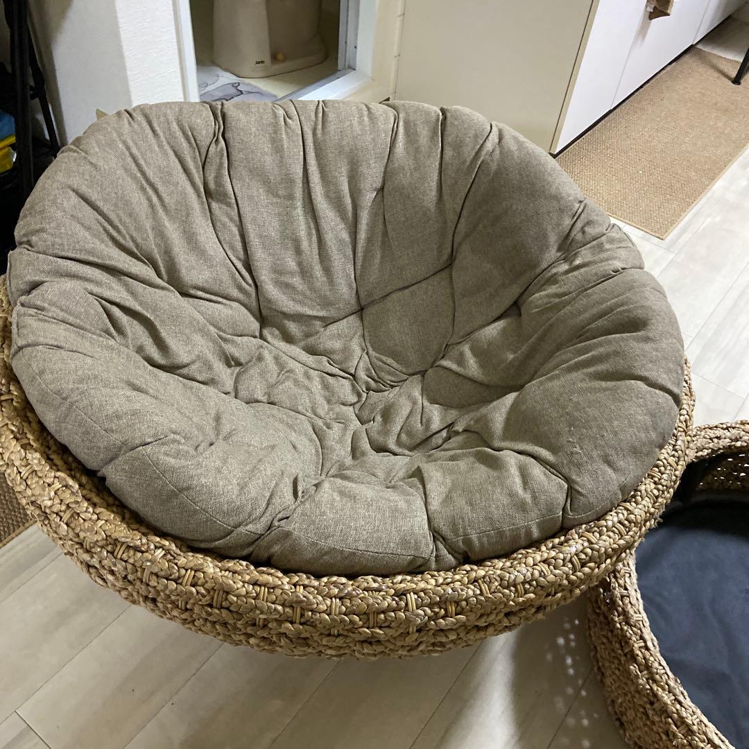 パパさんチェアーウォータヒヤシンス円形 1人掛けソファ- 送料込み