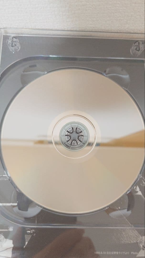 ミュージック THE BLUE HEARTS on TV DVD BOX