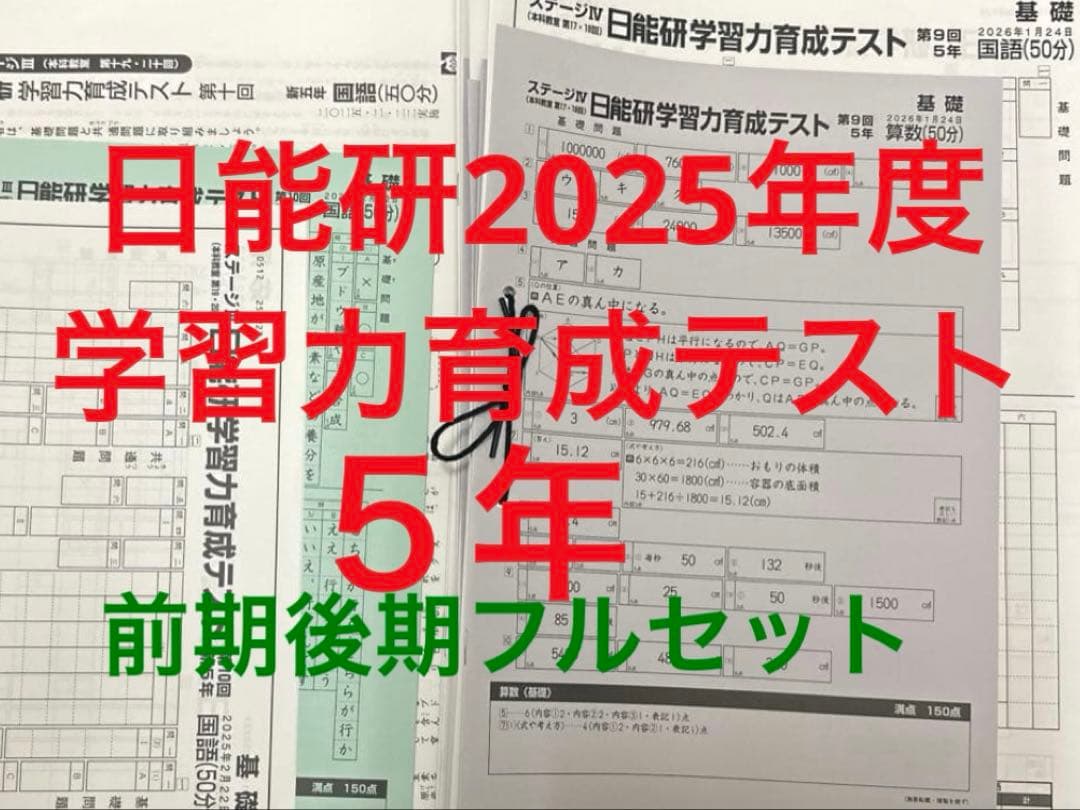最新　2025年度 日能研 5年　学習力育成テスト　前期後期フルセット