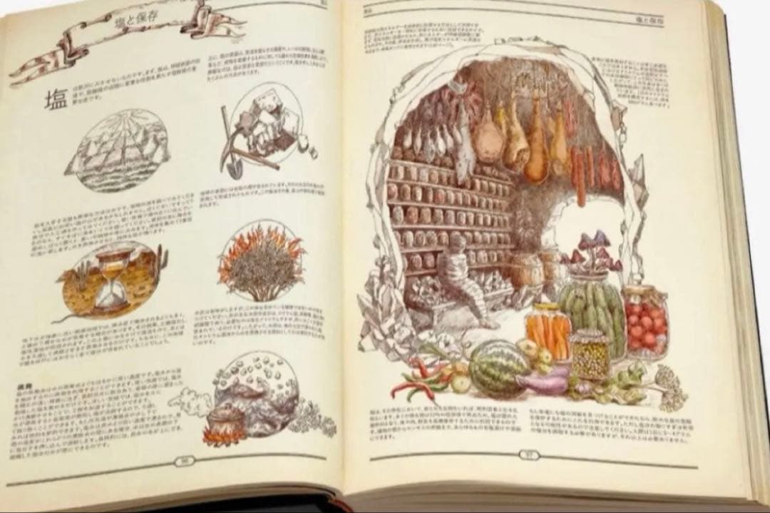 THEBOOK 究極の文明再構築ガイド　日本語版　新品　未使用