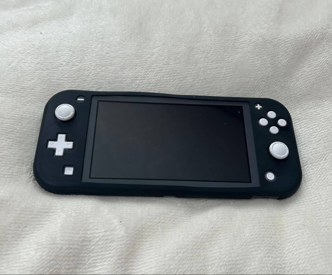 Nintendo Switch Lite グレー ケース付き