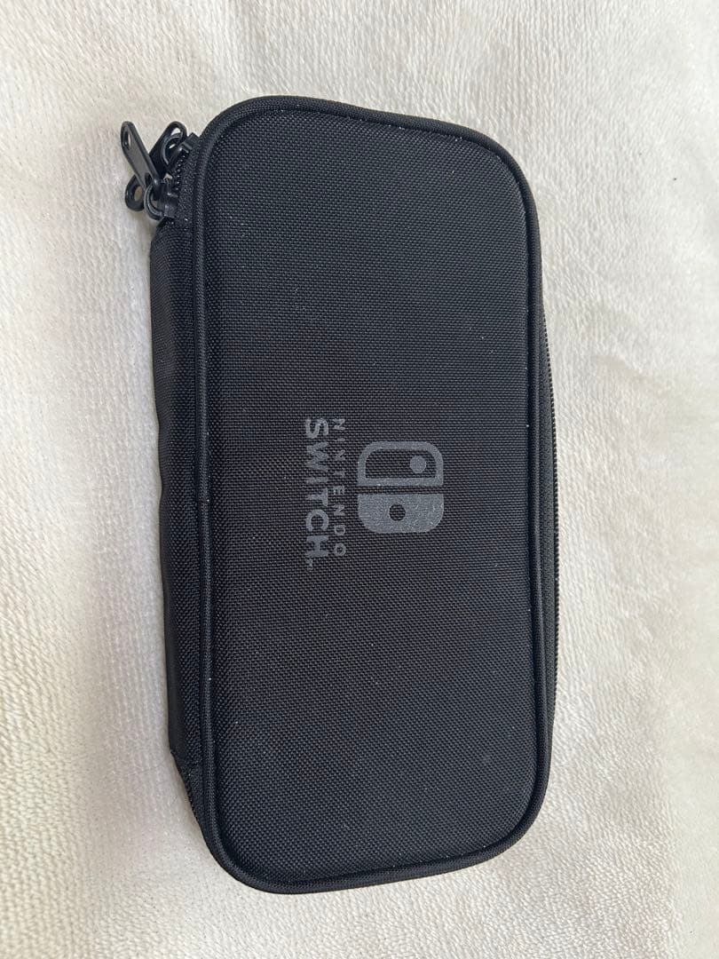 Nintendo Switch Lite グレー ケース付き