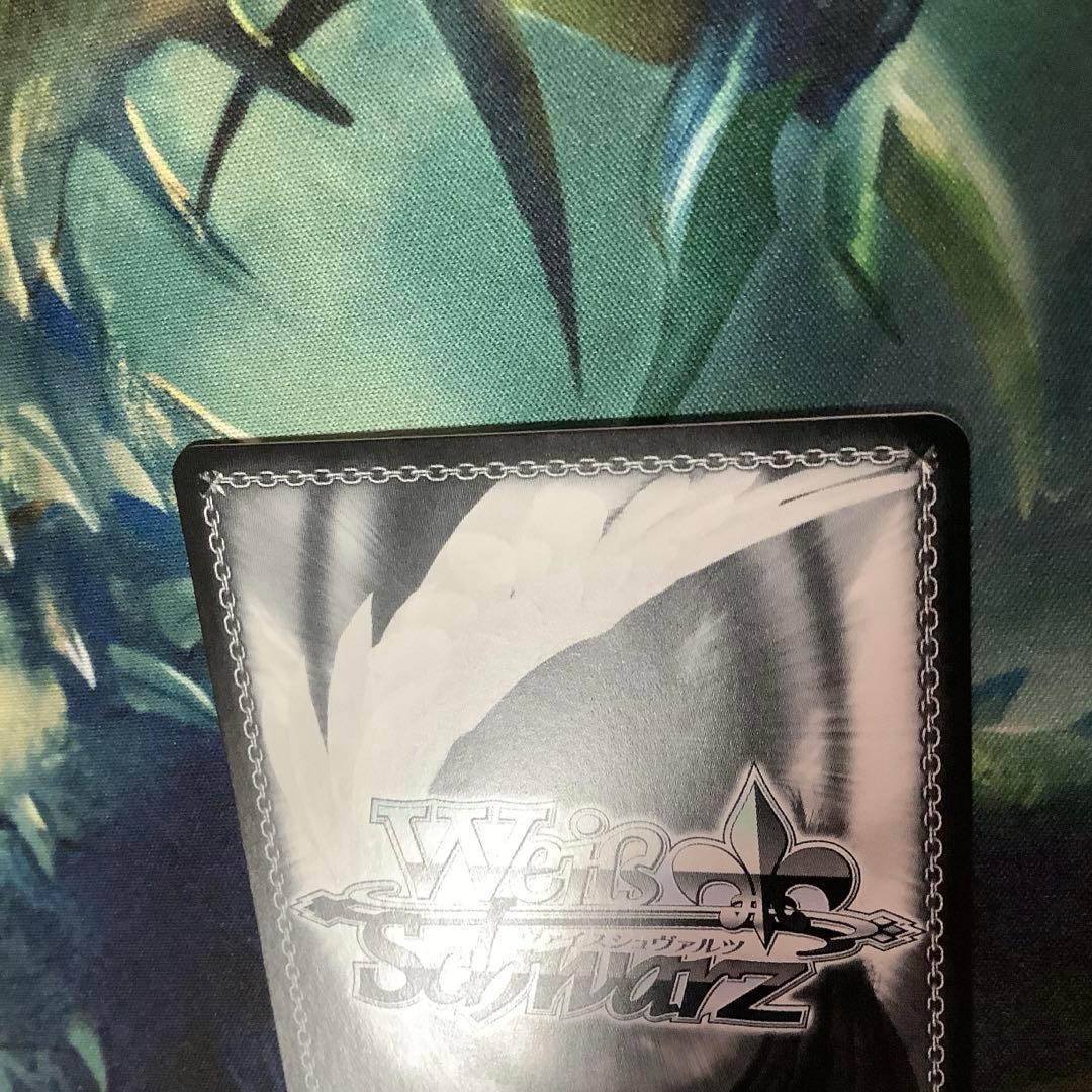 ヴァイスシュヴァルツ　“白い稲妻”タマモクロス SSP サイン