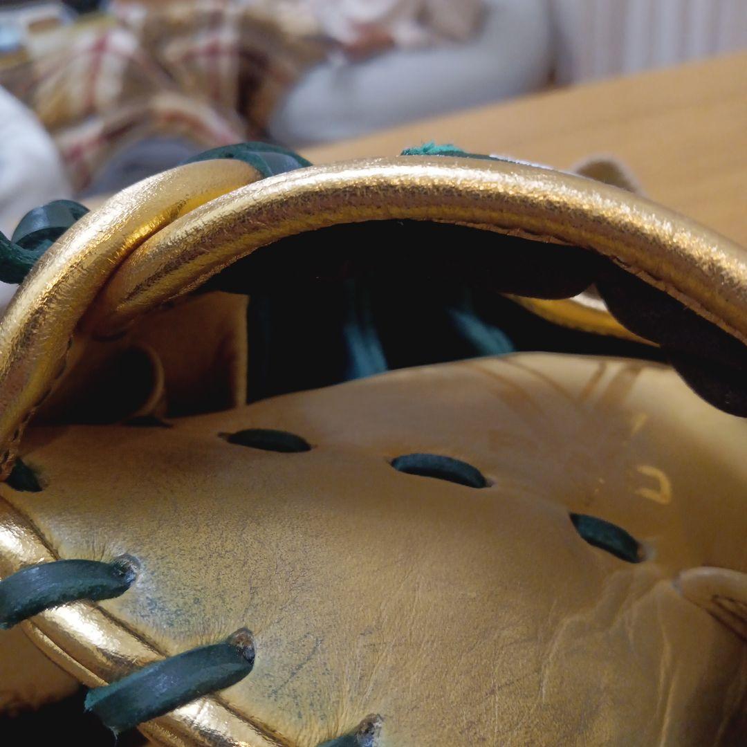 Rawlings The Gold Glove Series 軟式グローブ
