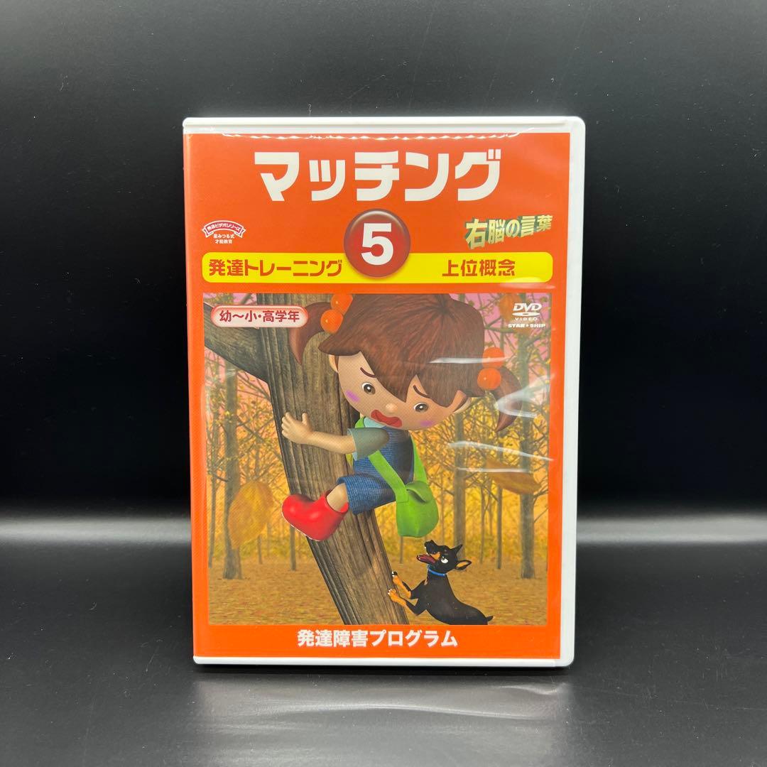 星みつる式　マッチング　1〜6巻　発達トレーニング　DVD 分類学習 右脳の言葉