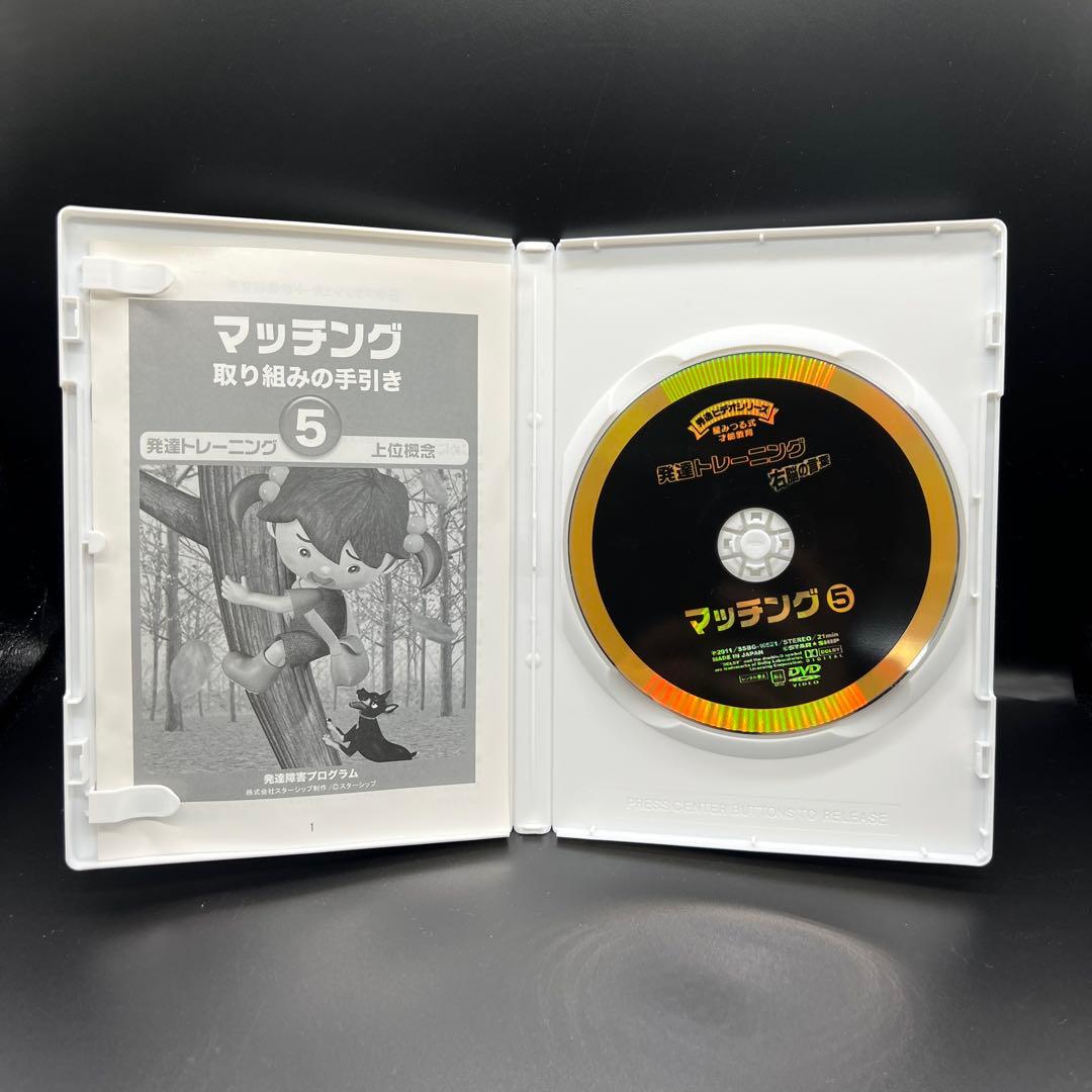 星みつる式　マッチング　1〜6巻　発達トレーニング　DVD 分類学習 右脳の言葉