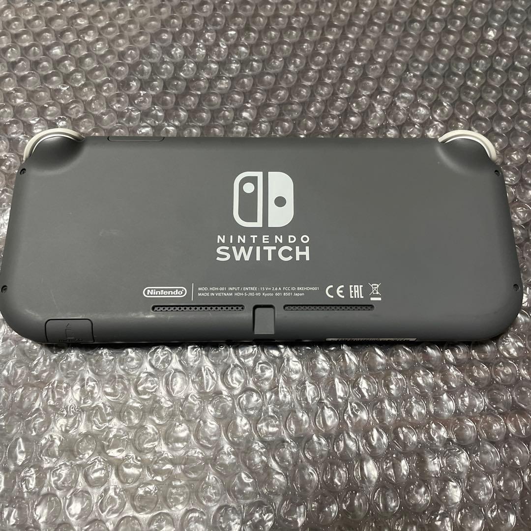 1 Nintendo Switch Lite グレー