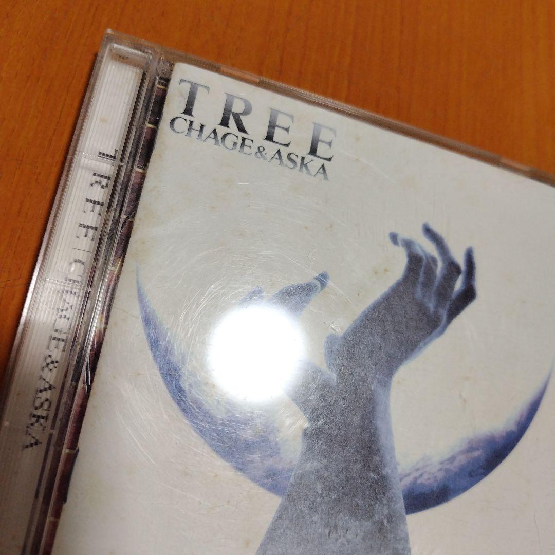 邦楽 CHAGE&ASKA TREE