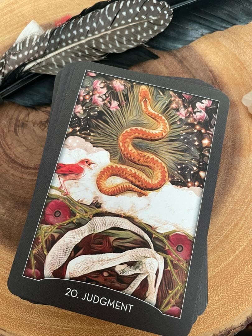 ★正規品タロットカード★人気作者の美麗デッキ✨美しい夜の動物たちのタロット