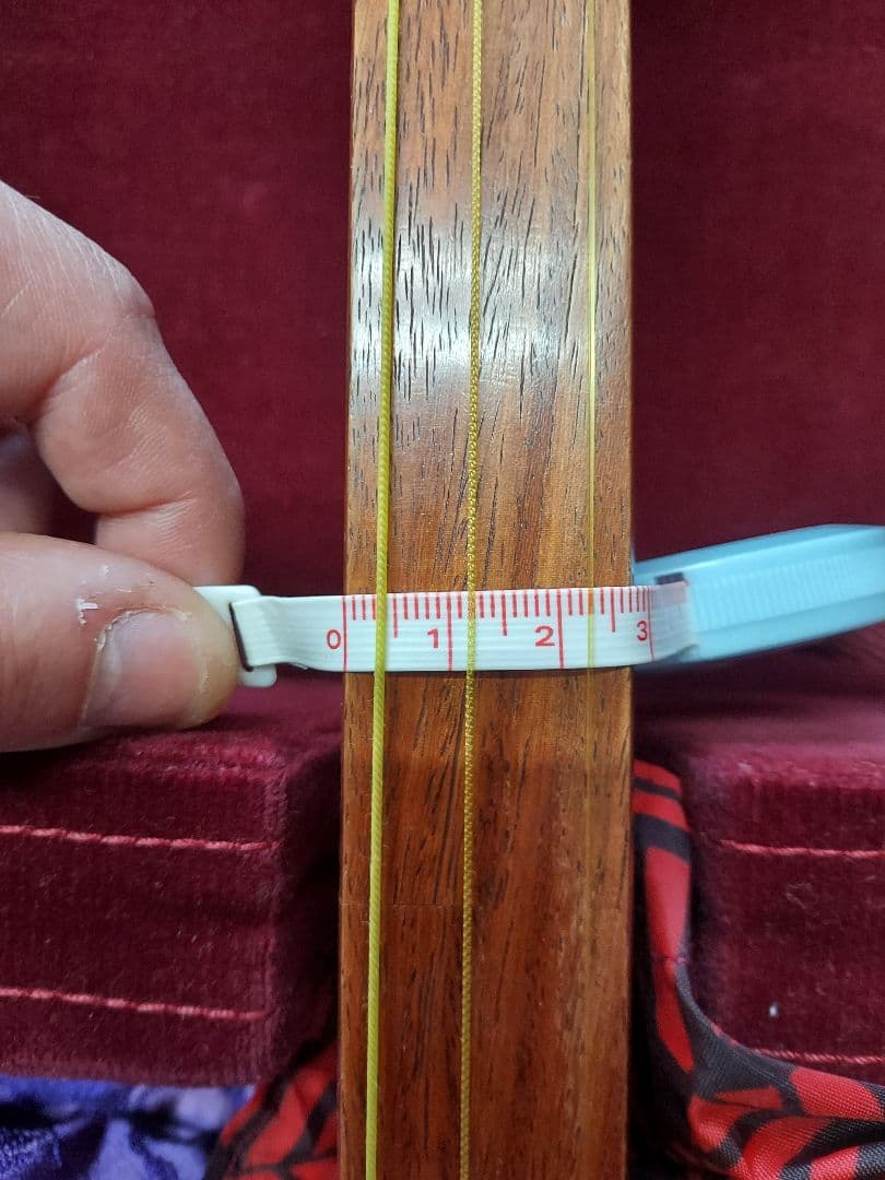 三味線　バチ2つ　ハードケース　セット