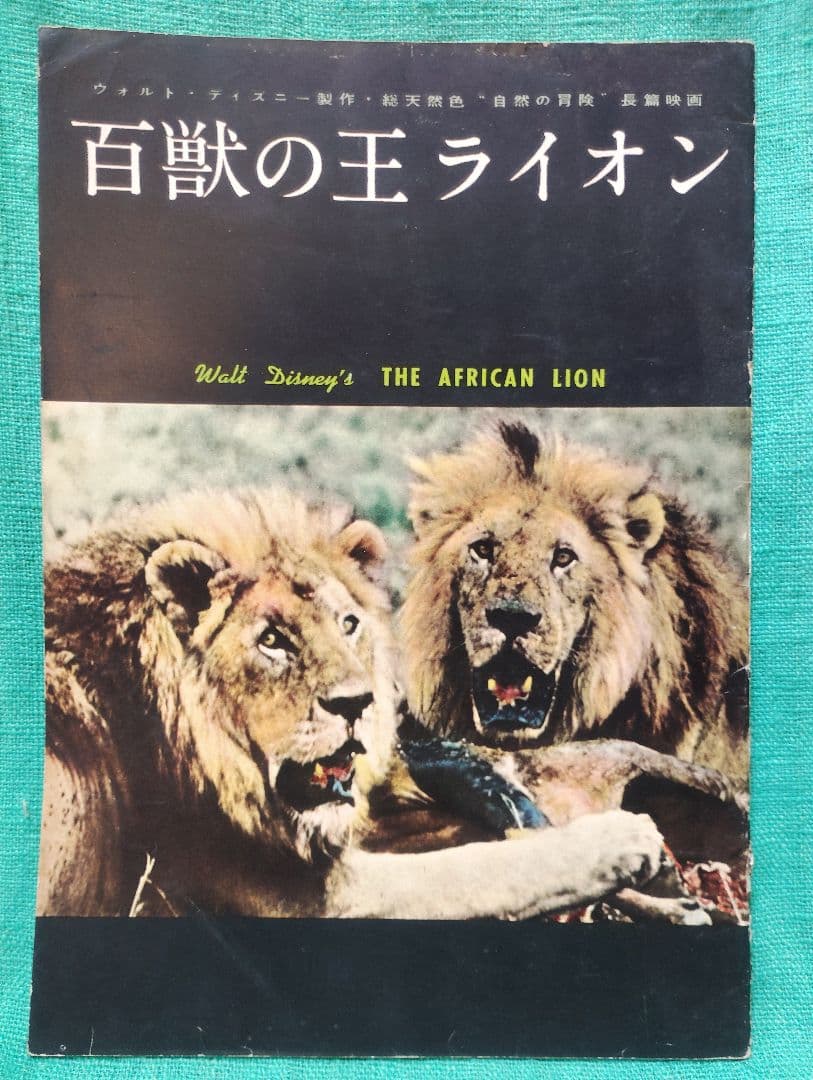 ウォルトディズニー映画パンフレット8点セット