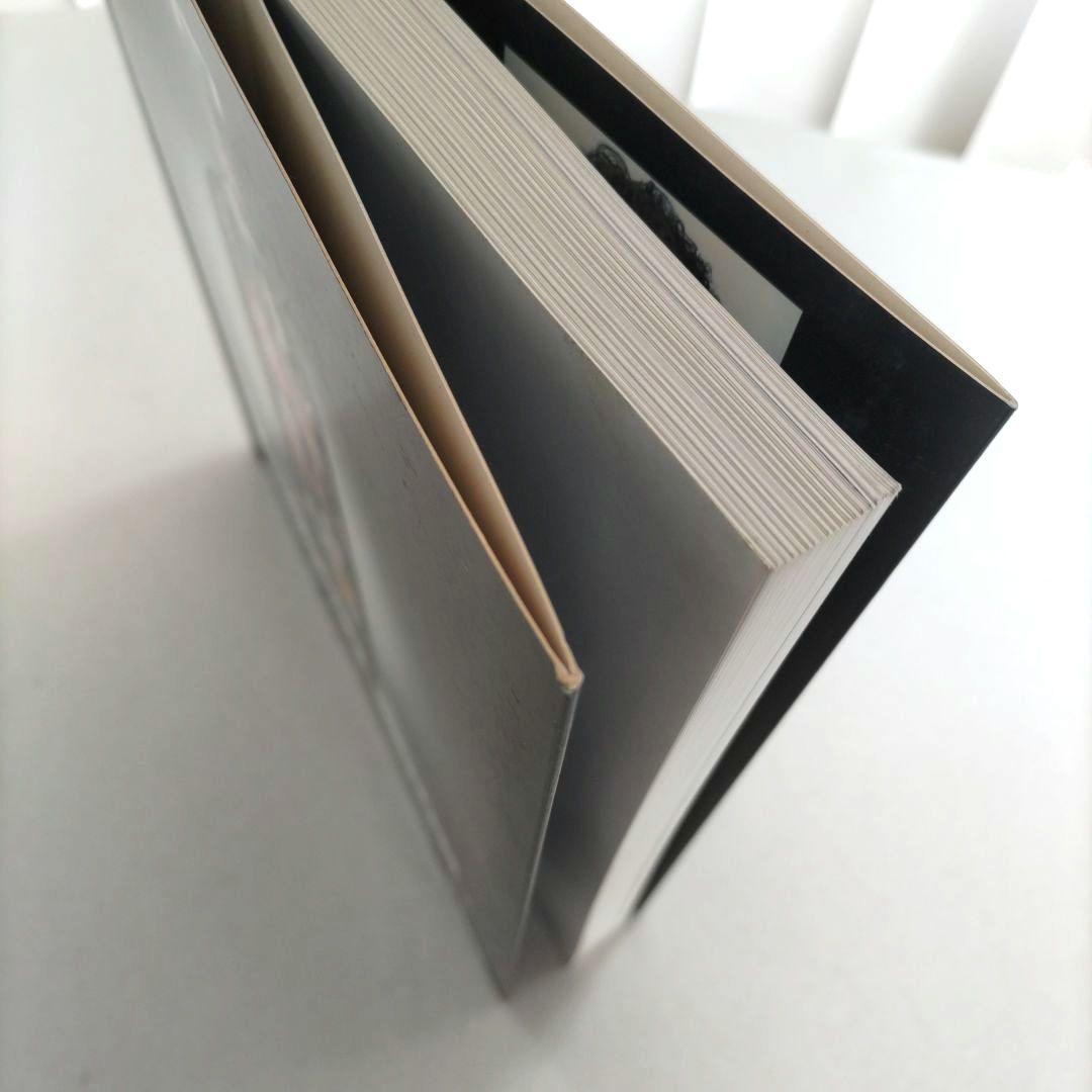 ABSOLUT BOOK. アブソルートウォッカ/ポスター作品集 デザイン