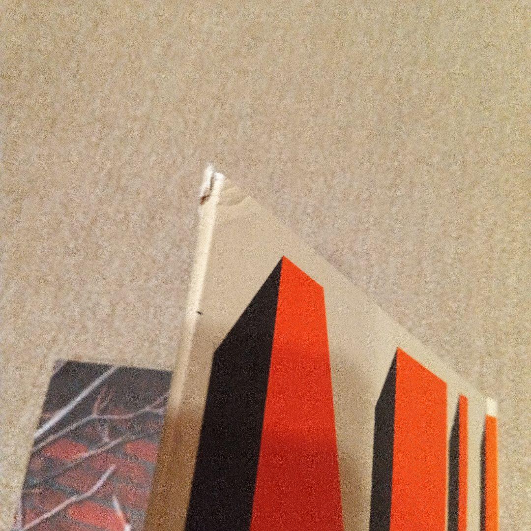 Barry Mcgee バリーマッギー THR/DFW 洋書 大型本