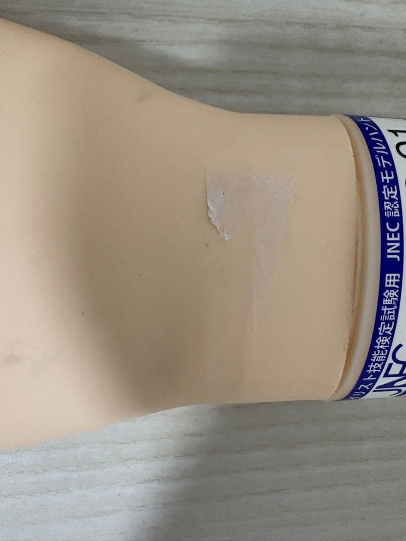 JNEC認定モデルハンド 両手