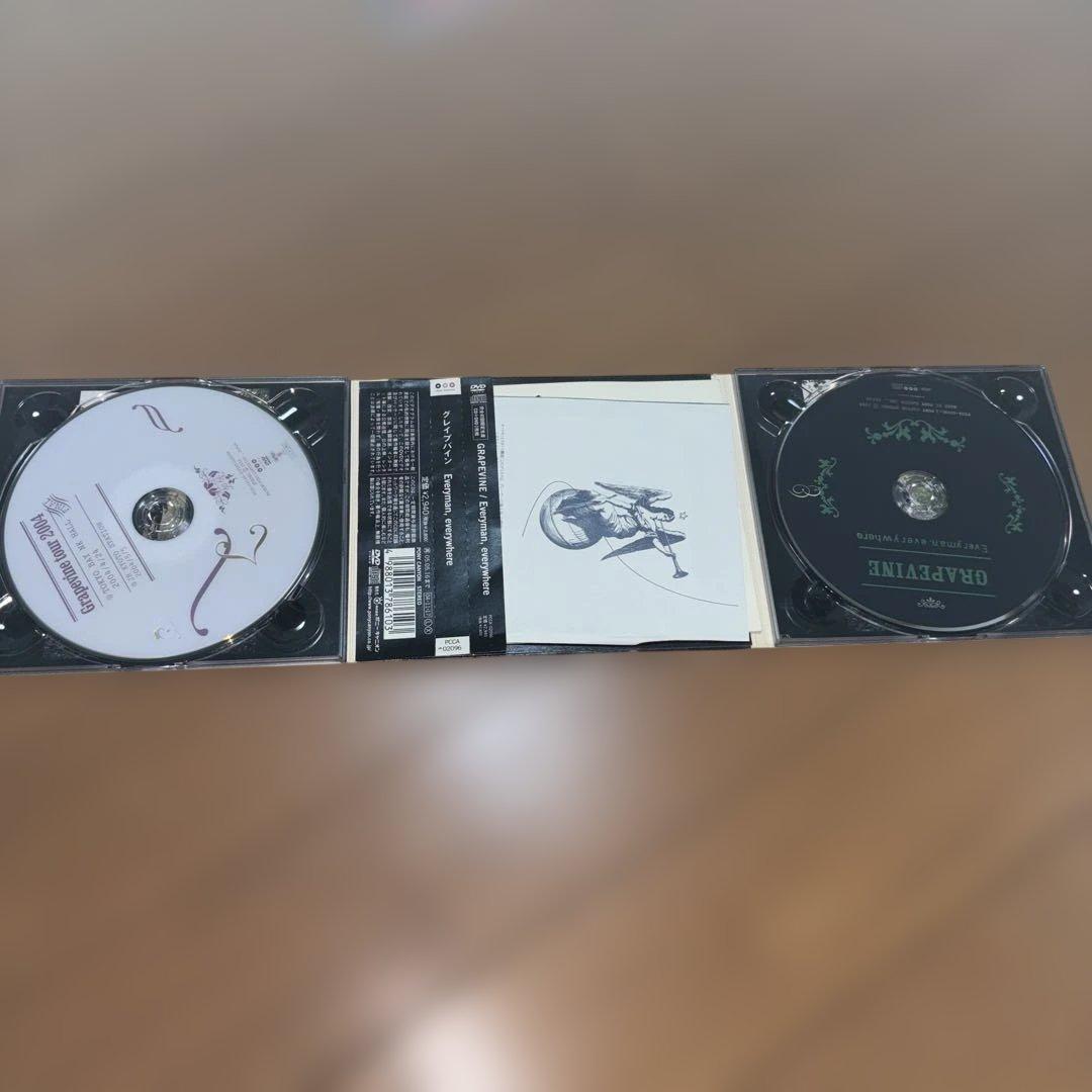GRAPEVINE CD・DVD 19点セット 非売品プロモCD2枚含む