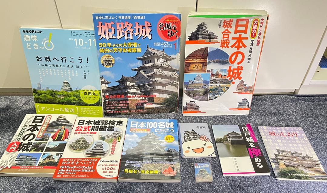 【非売品あり、一部書き込みあり】お城本11冊