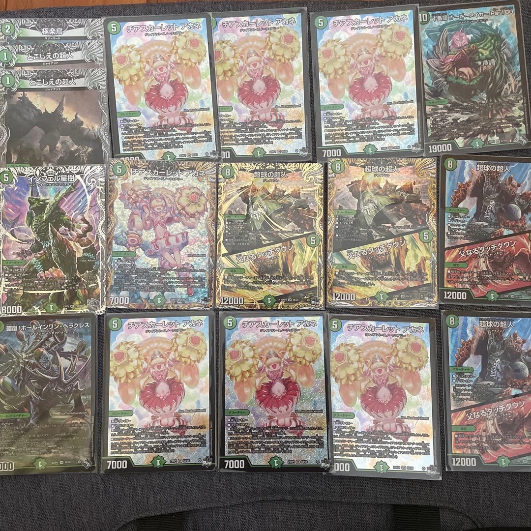 【引退品】木のみ、デュエマ、デュエル・マスターズ