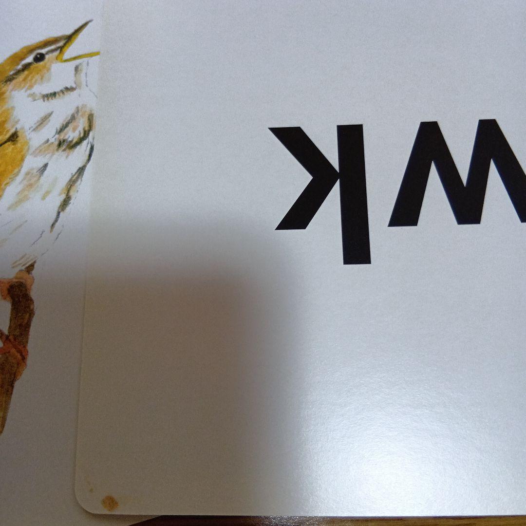 かな絵ちゃん 英語版 A 　B 七田式　フラッシュカード 専用CD