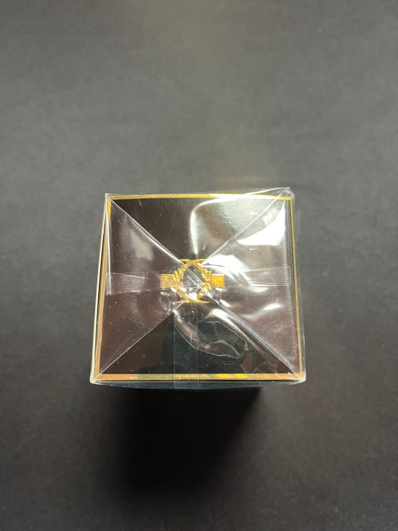 LADY GAGA FAME BLACK FLUID 30ml 新品　未開封