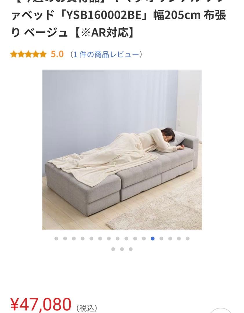 【直接引取限定】ソファベッド　値下げしました！