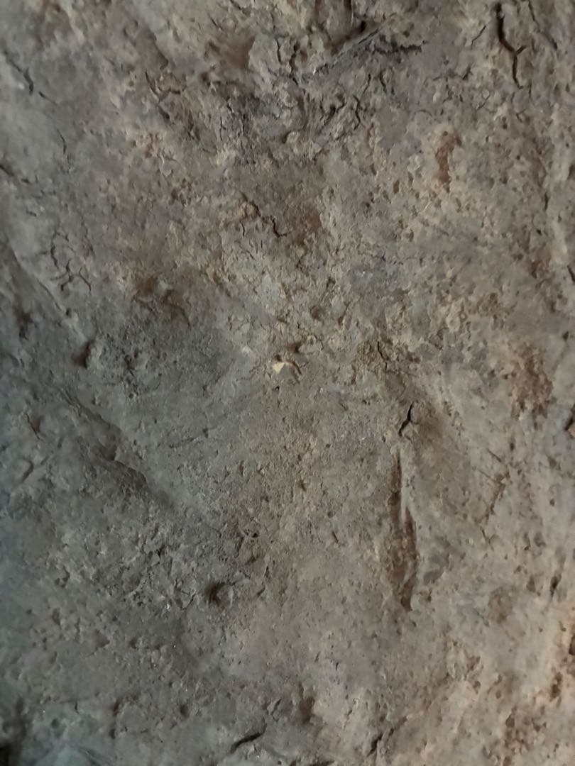 【最終価格】ハタノワタル/積み重なったもの/20号