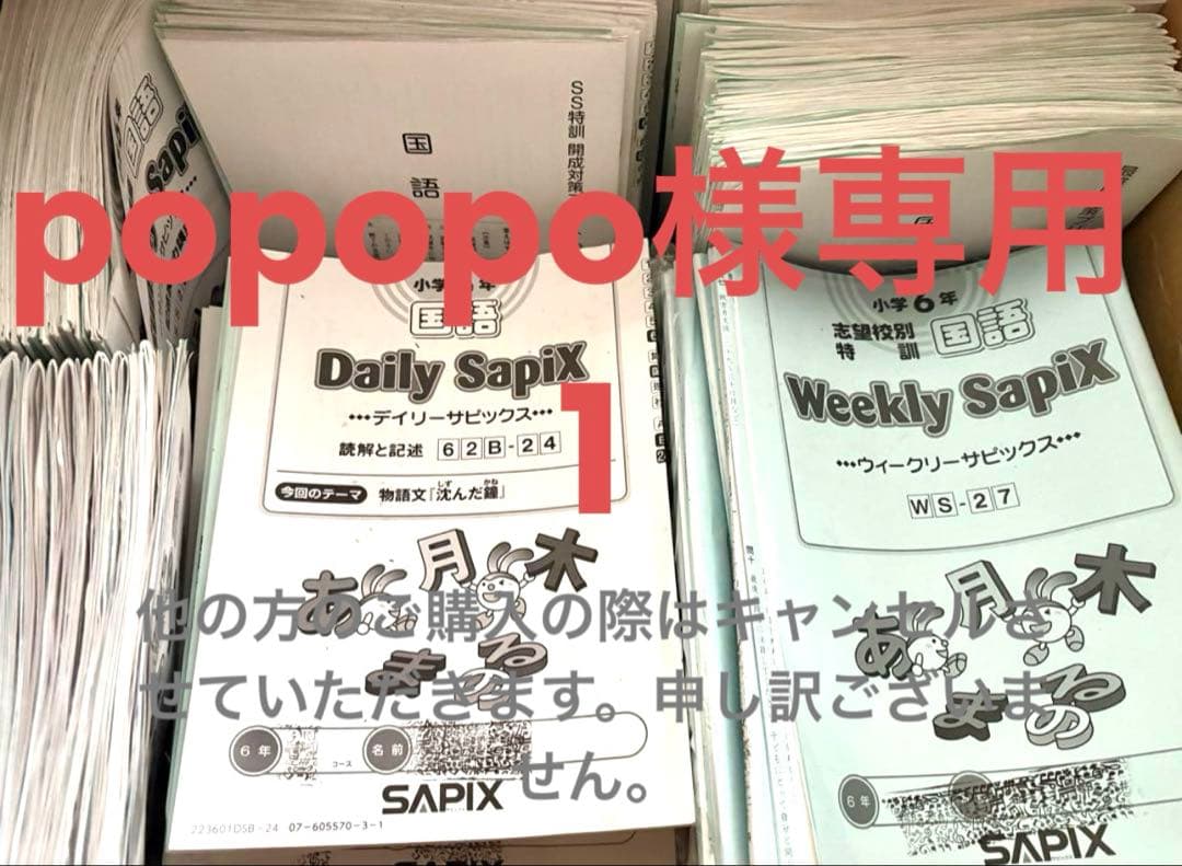 popopoSAPIX6年テキスト1年分国語