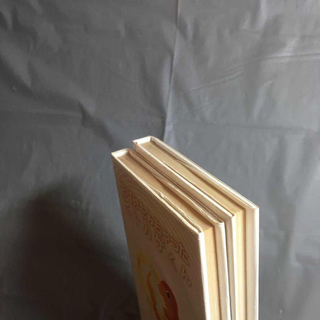 ポケモン絵本 進化系セット リザードン ヒトカゲ