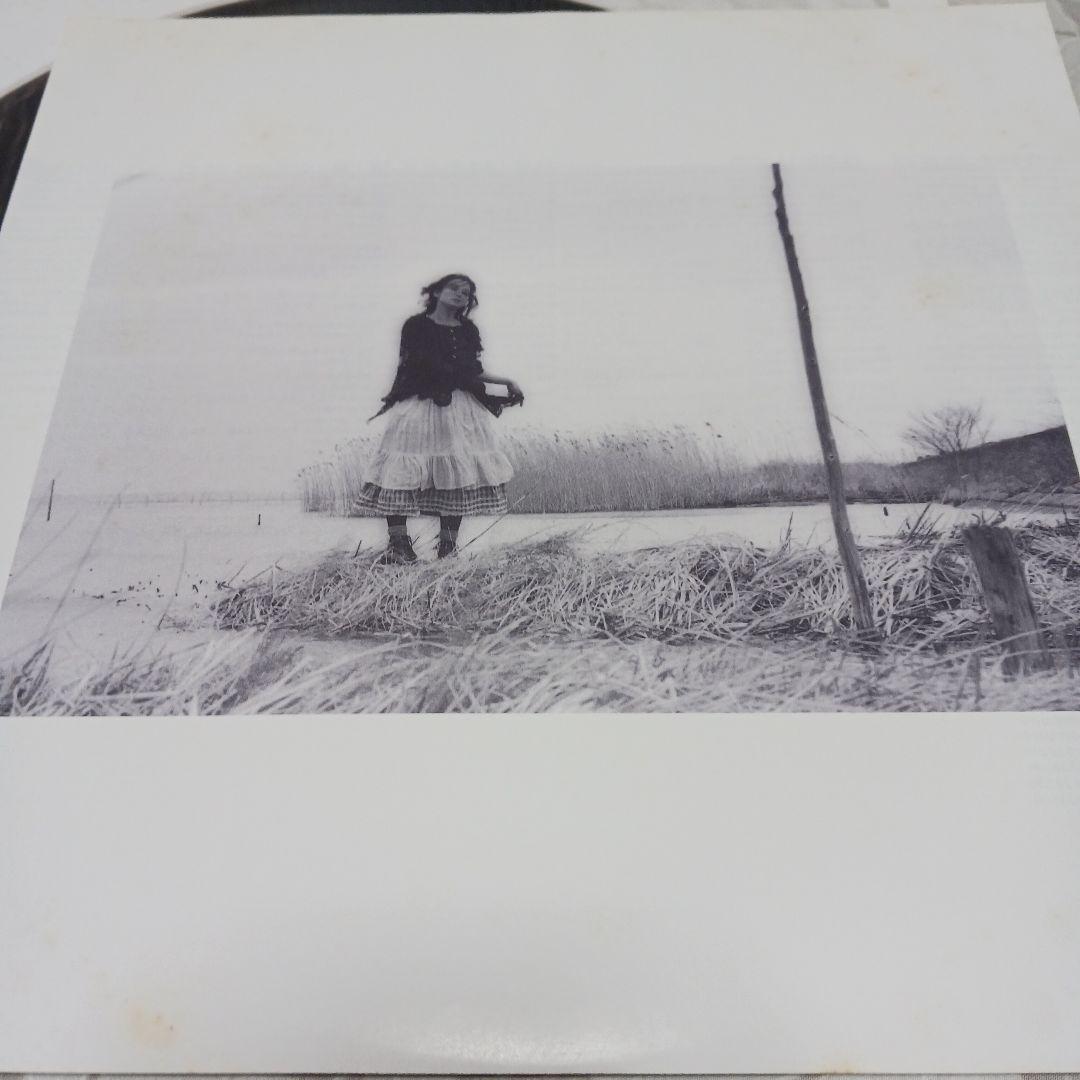 田中裕子純愛ノススメ　サンプル盤 レコード 163246