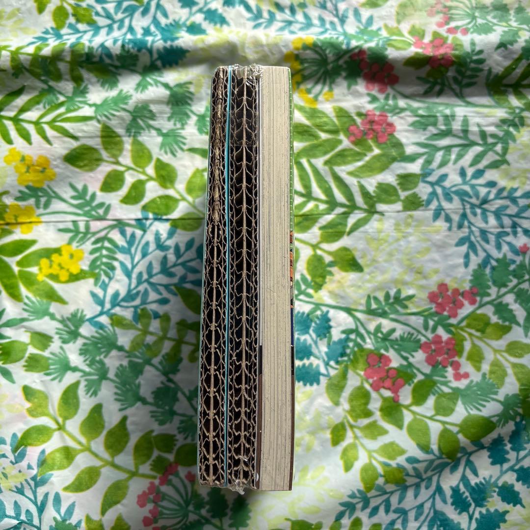 【販売終了品・未開封新品】のだめカンタービレ 16・限定版