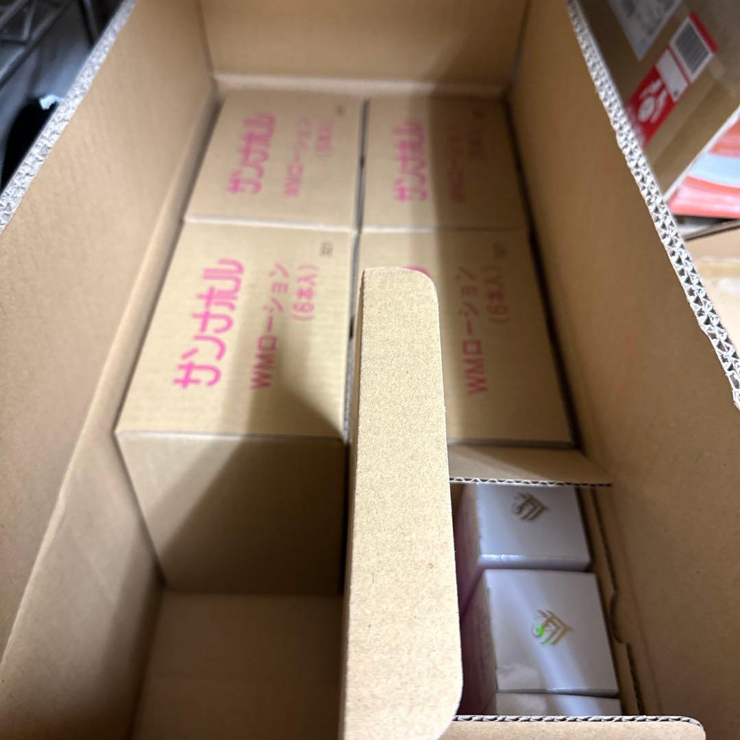 サンナホル　WMローション120ml 3本　分包付き