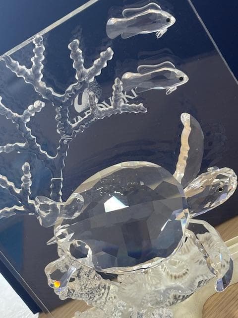 年始セール★SWAROVSKI 会員限定 ワンダーオブザシー エタニティー 亀